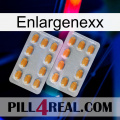 Enlargenexx cialis4